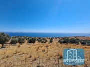 Agios Pavlos Kreta, Agios Pavlos: Großes Grundstück mit Meerblick zu verkaufen Grundstück kaufen